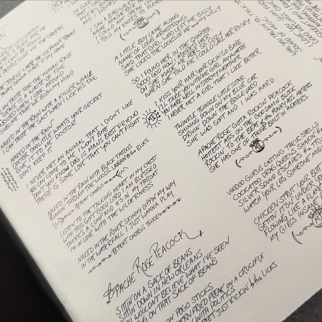 Red Hot Chili Peppers - Blood Sugar Sex Magik